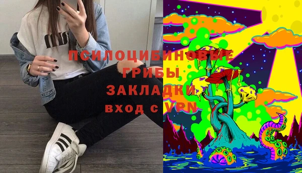 стафф Каменногорск