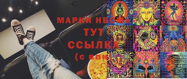 стафф Каменногорск