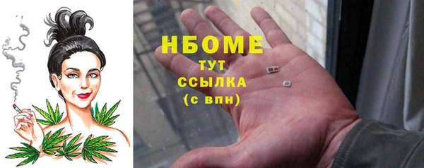 стафф Каменногорск
