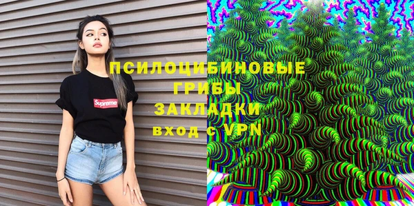 стафф Каменногорск