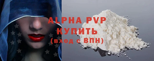 ECSTASY Каменка