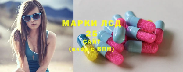 ECSTASY Каменка