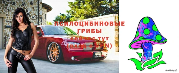 дживик Каменск-Шахтинский