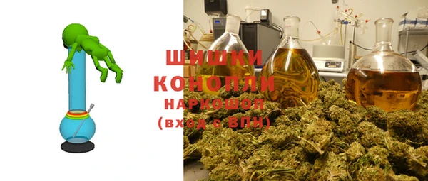 ECSTASY Каменка