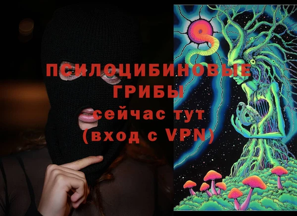 стафф Каменногорск