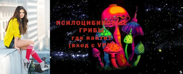стафф Каменногорск
