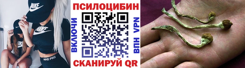 Псилоцибиновые грибы прущие грибы  Купить  Гдов 