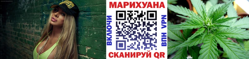 Купить где Гдов Шишки марихуана семена